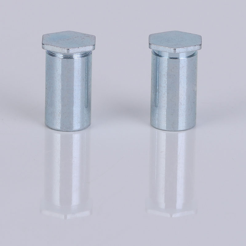 Hex Head Blind Nuts